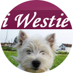 I westie